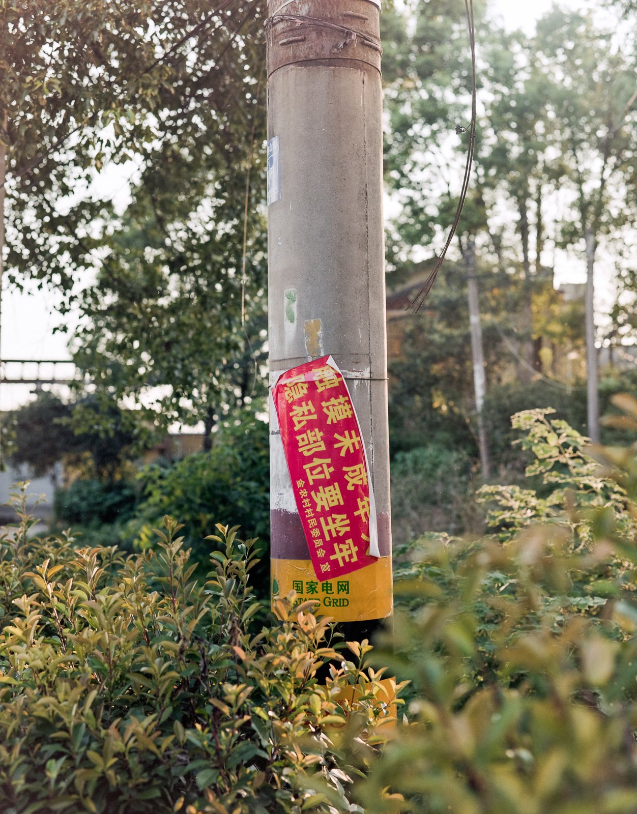 忽视的景观 image 14